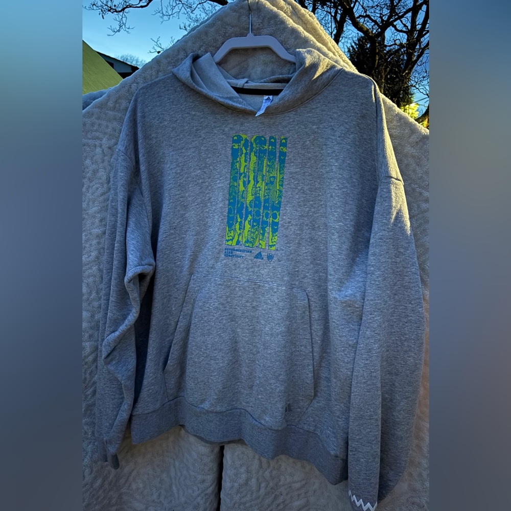 Adidas Gray Hoodie with Blue and Green Design